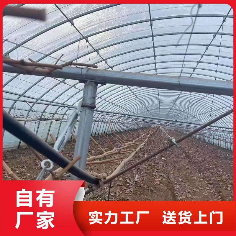 温室大棚热镀锌光伏支架实体厂家大量现货