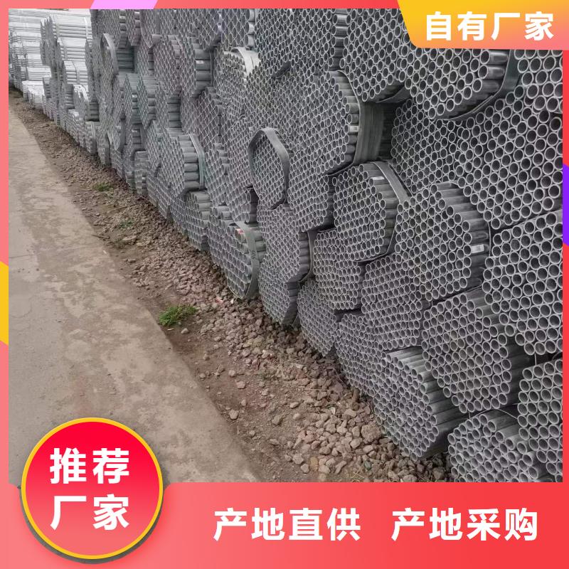 温室大棚蘑菇棚支持大批量采购