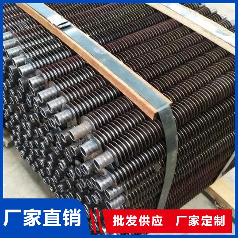 不锈钢翅片管来厂考察