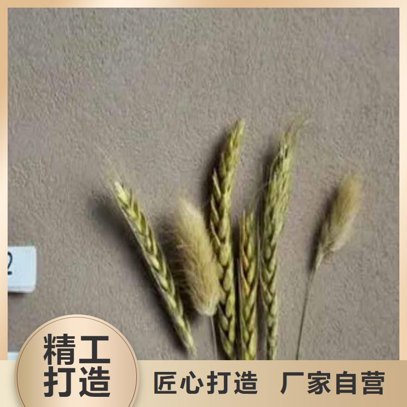 灰泥肌理漆厂家直销厂家质量过硬