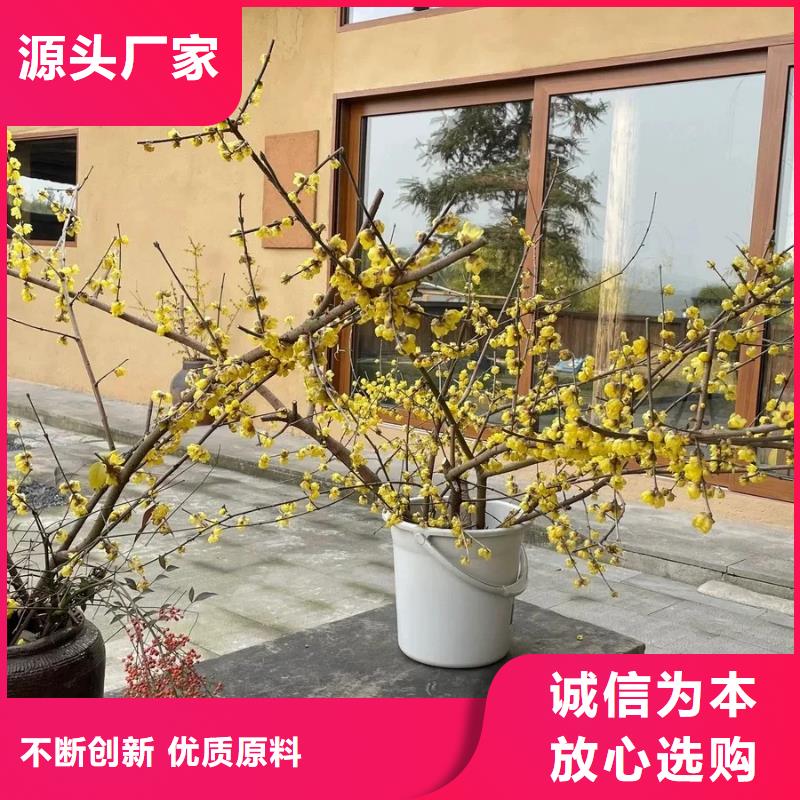 稻秸秆漆生产厂家，批发施工