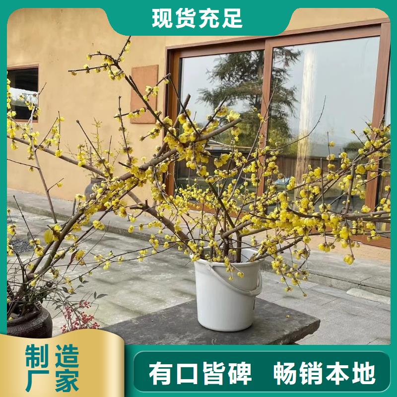 稻草漆全包价格