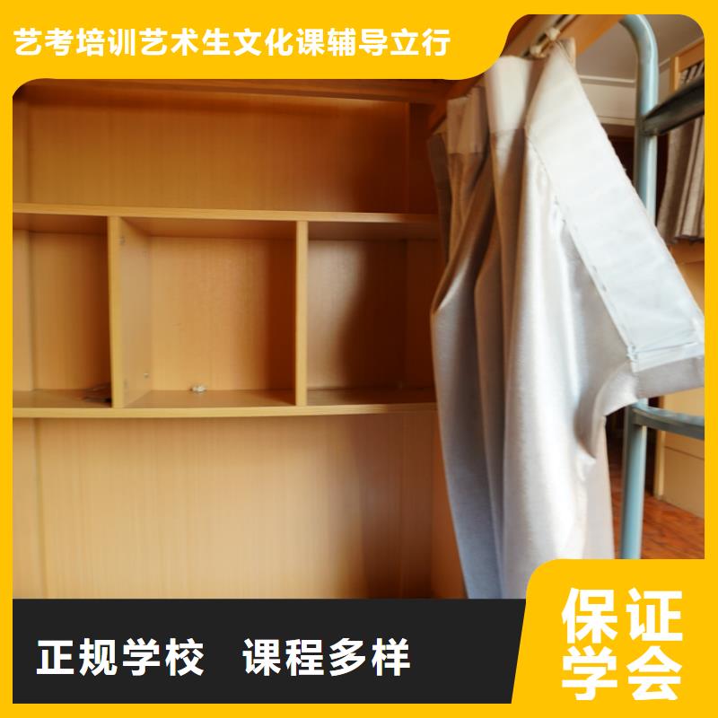 山东艺考文化课艺考生一对一补习就业前景好