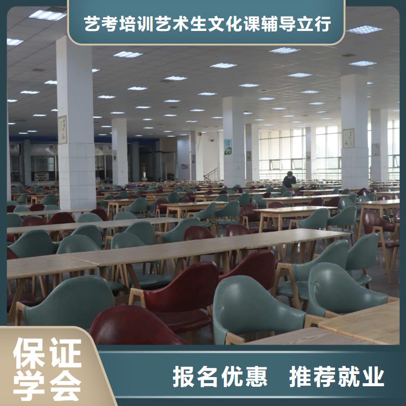 山东艺考文化课高考冲刺班学真技术