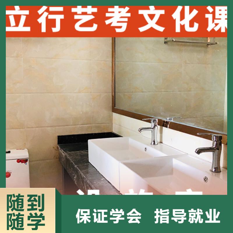 艺体生文化课补习机构有几所
