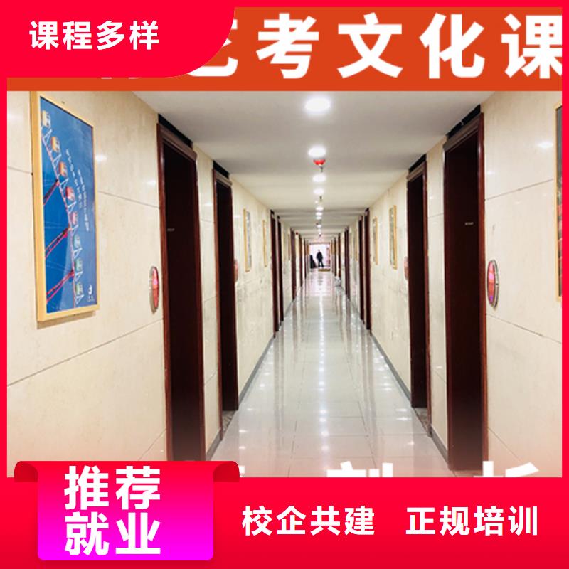艺考文化课辅导高考物理辅导理论+实操