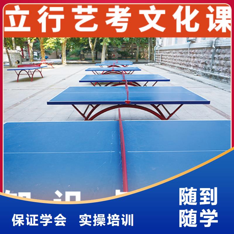 艺考文化课辅导高考物理辅导理论+实操