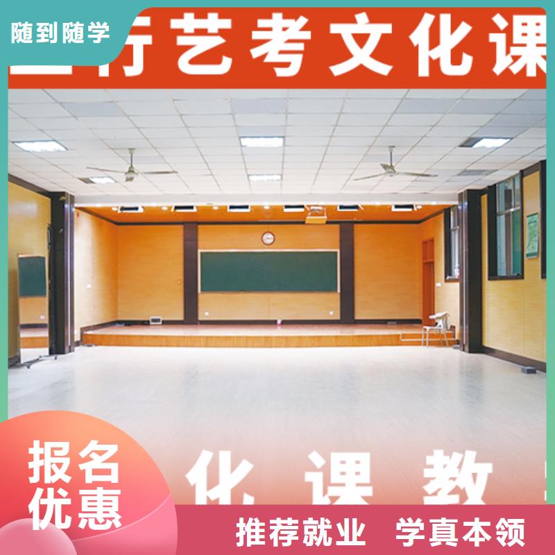 艺考文化课辅导高考物理辅导理论+实操