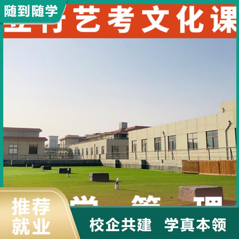 艺考生文化课培训机构选哪家