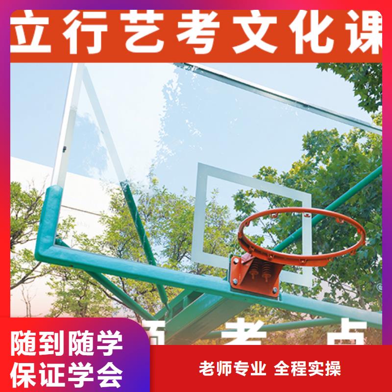 艺考生文化课舞蹈艺考培训老师专业