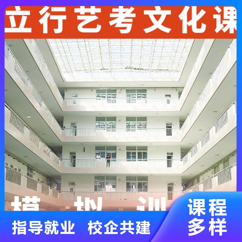 艺考生文化课高考补习班实操培训