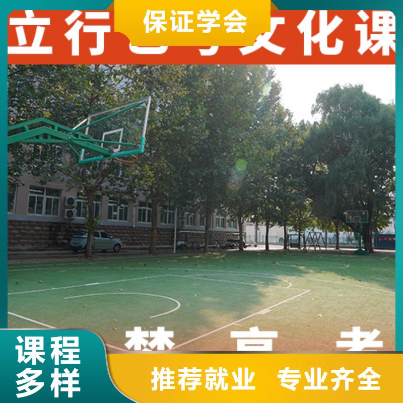 艺考生文化课艺考文化课冲刺手把手教学