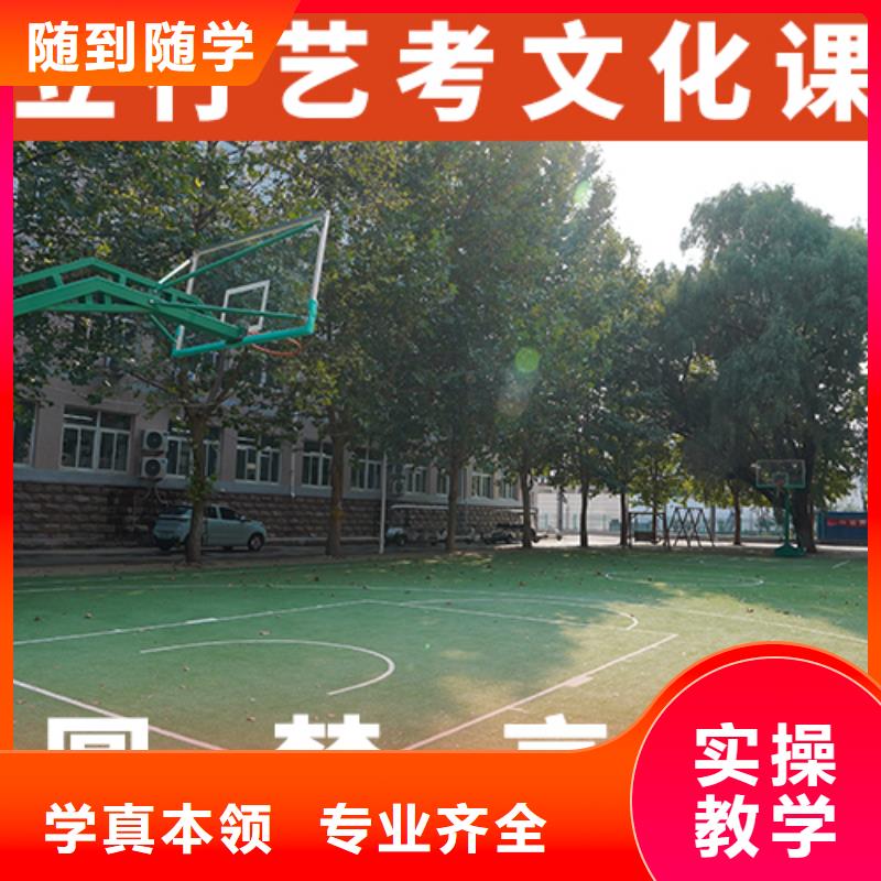 艺考生文化课高三冲刺班学真本领