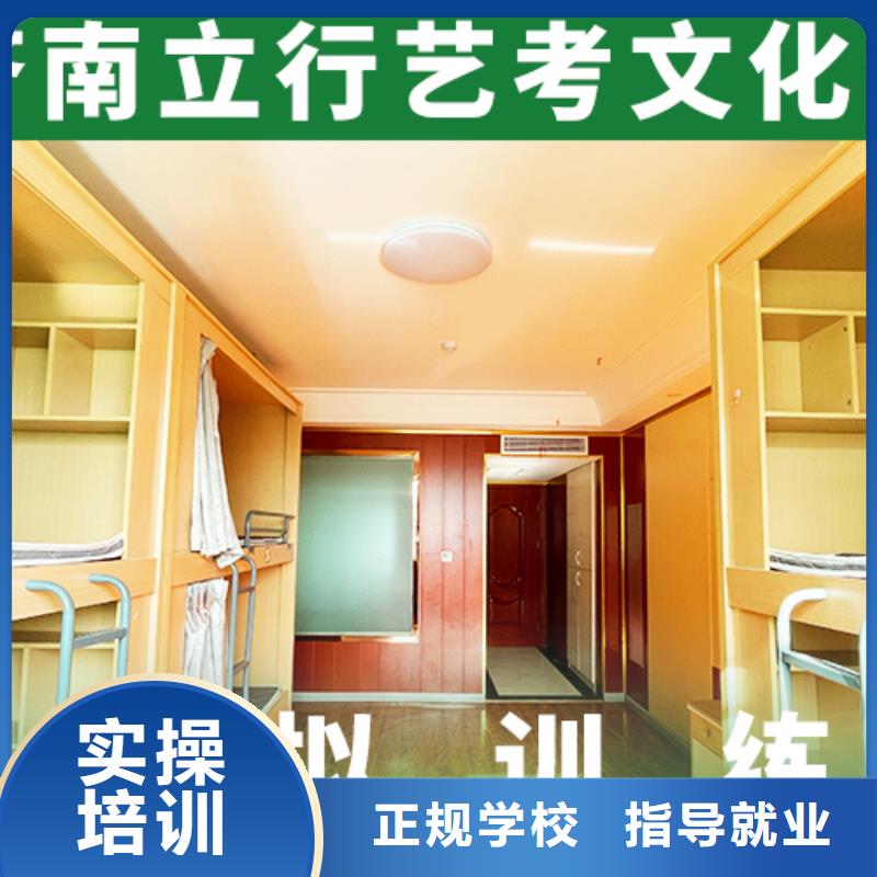 艺考生文化课艺考文化课冲刺手把手教学
