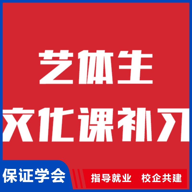 艺考生文化课高考小班教学老师专业