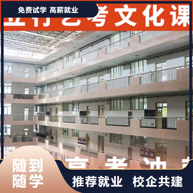 艺考生文化课高考小班教学老师专业