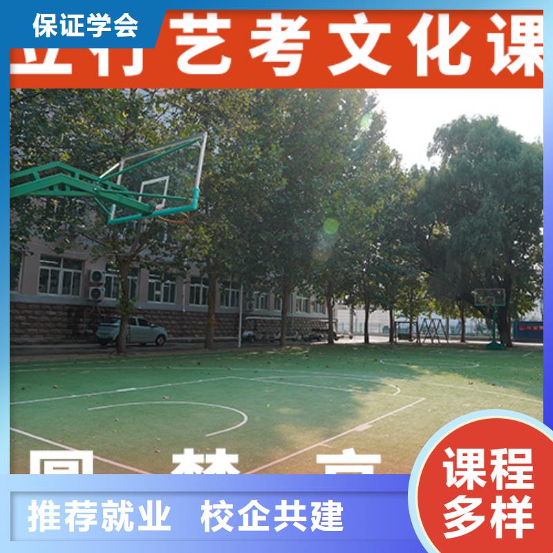 艺考生文化课高考小班教学老师专业