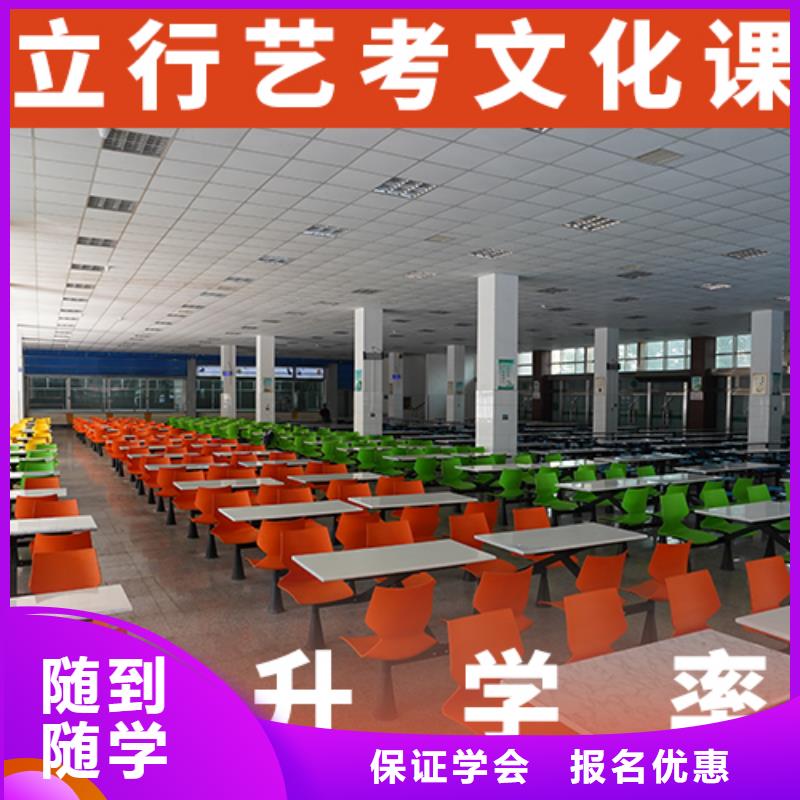 艺考生文化课高考小班教学老师专业
