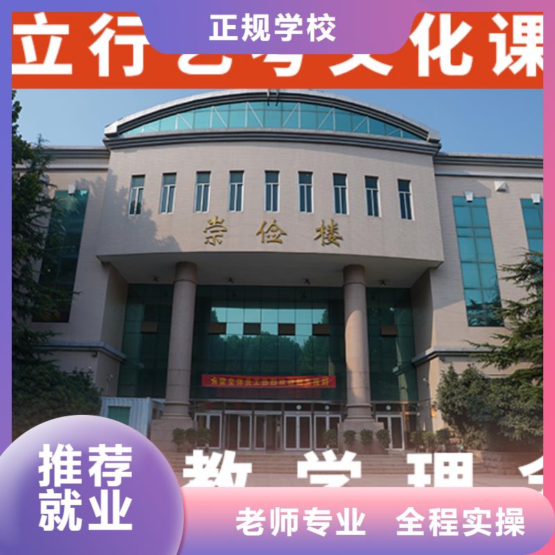 艺考生文化课高考小班教学老师专业