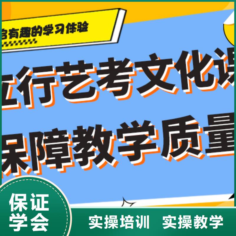 艺考文化课补习高考语文辅导课程多样