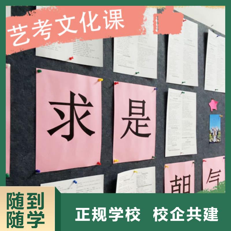 艺考生文化课-高考辅导机构理论+实操