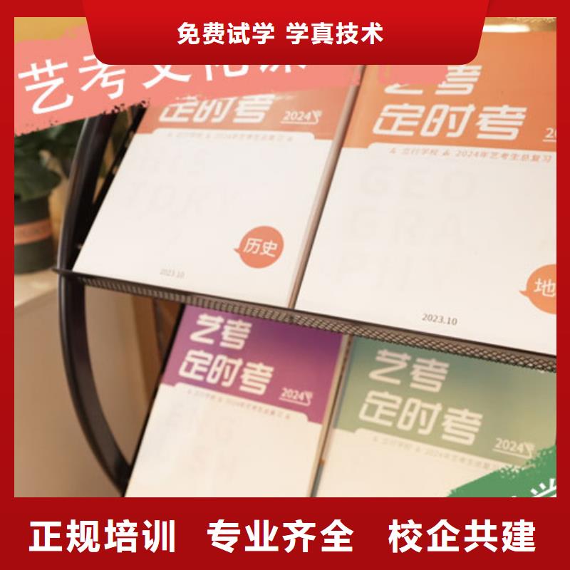 艺考生文化课高中一对一辅导课程多样