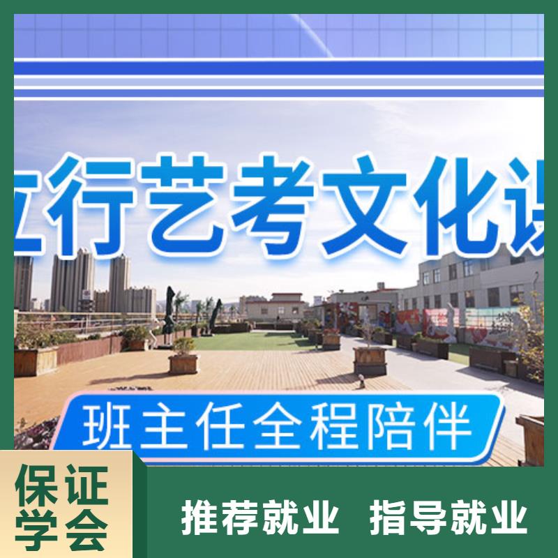 艺考文化课集训艺术生文化补习理论+实操