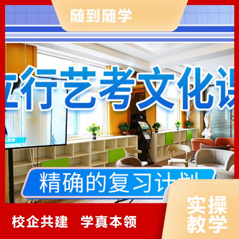 艺考文化课集训艺术生文化补习理论+实操
