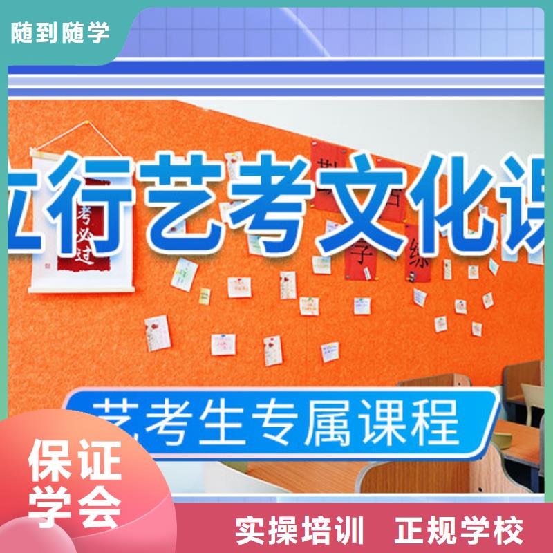 艺考文化课集训艺术生文化补习理论+实操