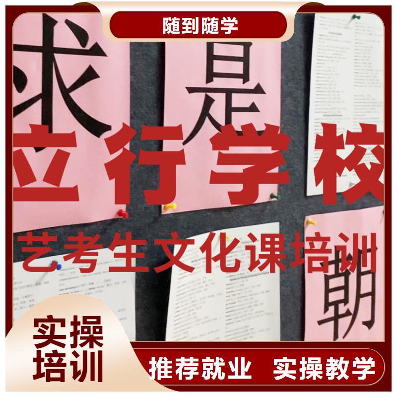 艺考文化课培训艺考文化课百日冲刺班学真技术
