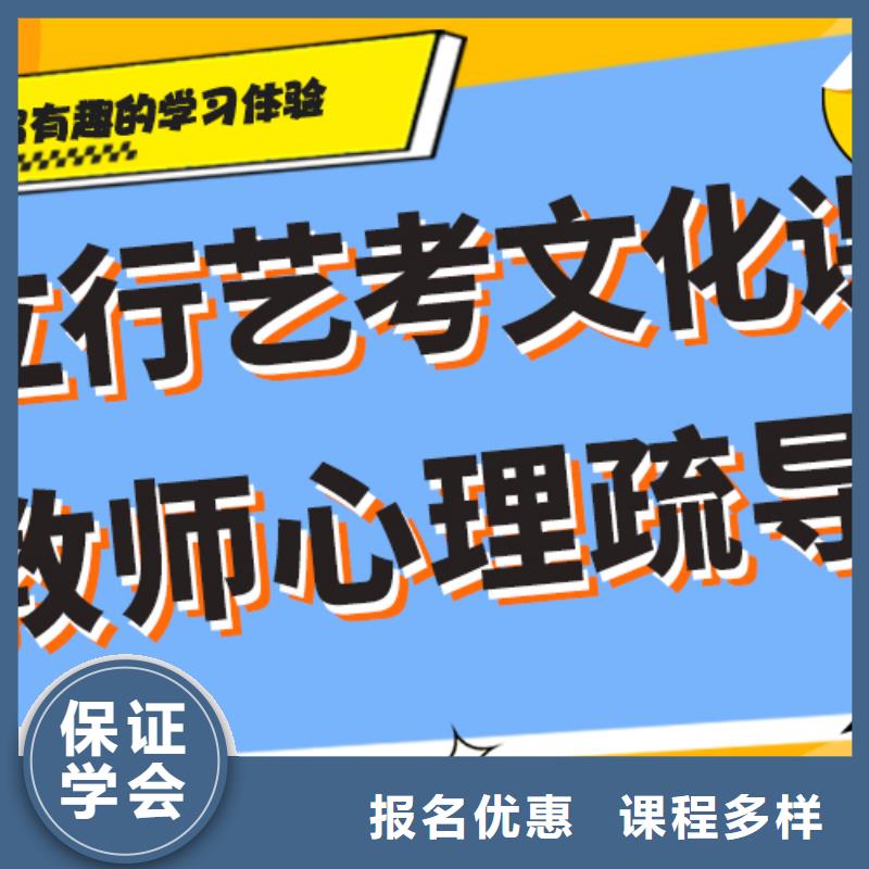 艺考文化课高考书法培训手把手教学