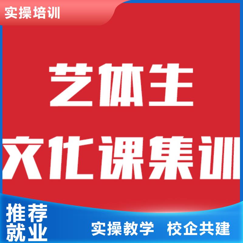 艺考文化课培训艺术生文化补习学真技术