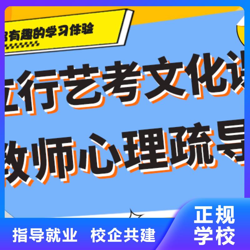 【艺考生文化课高考语文辅导实操教学】