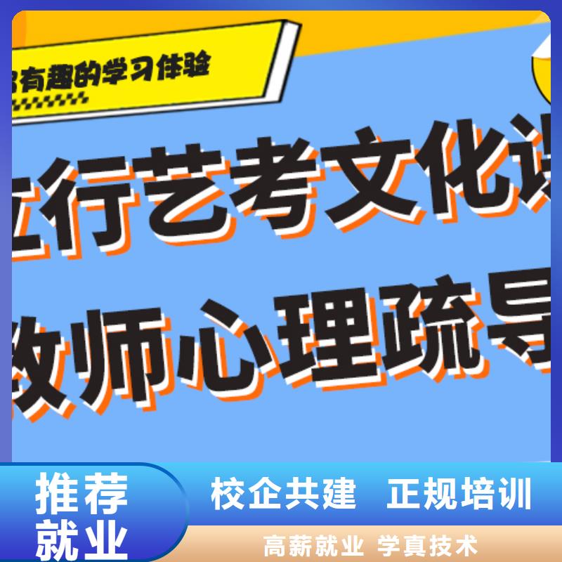 艺考生文化课编导文化课培训正规培训
