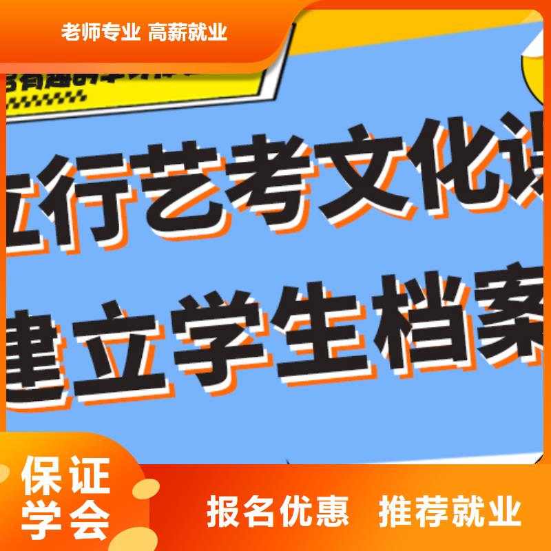 艺考生文化课美术艺考正规培训