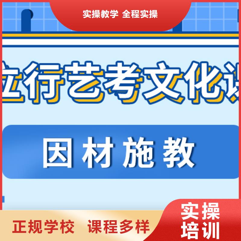 艺考生文化课美术艺考正规培训
