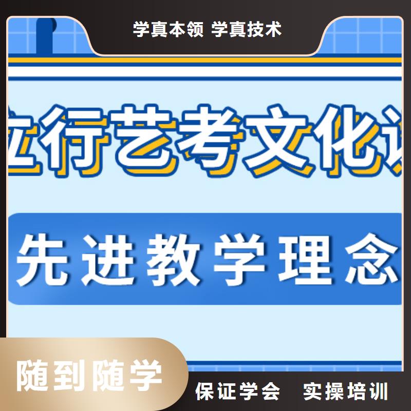 【艺考生文化课高考语文辅导实操教学】