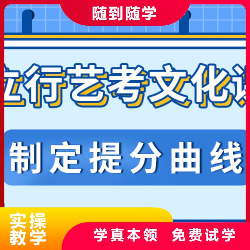 艺考生文化课编导文化课培训正规培训