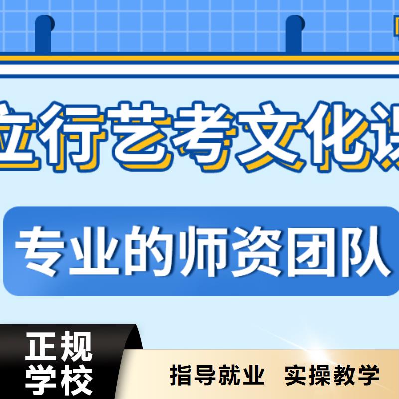 【艺考生文化课高考语文辅导实操教学】