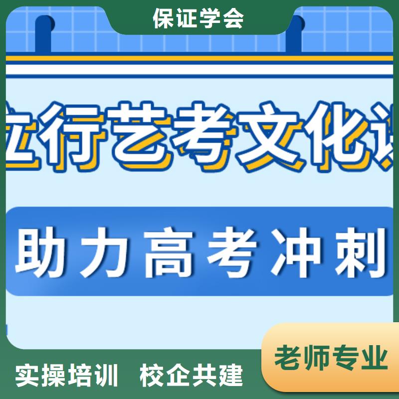 【艺考文化课高考语文辅导正规学校】