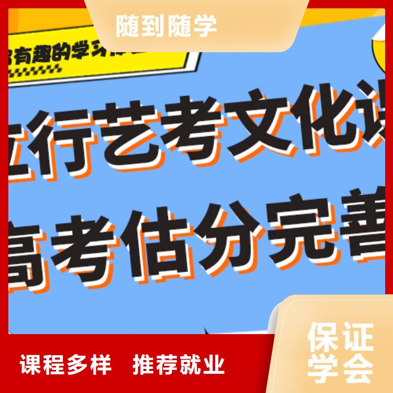 【艺考文化课高考语文辅导正规学校】