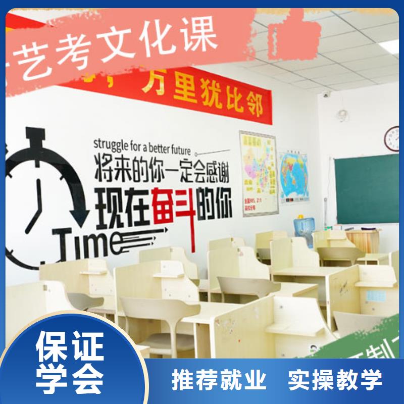 专业的艺术生文化课集训冲刺