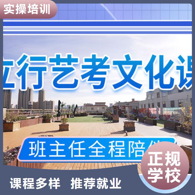 艺考文化课辅导艺术专业日常训练手把手教学