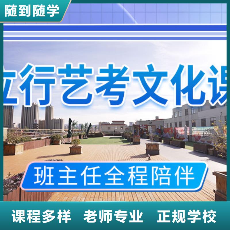 艺考文化课辅导艺考复读清北班手把手教学