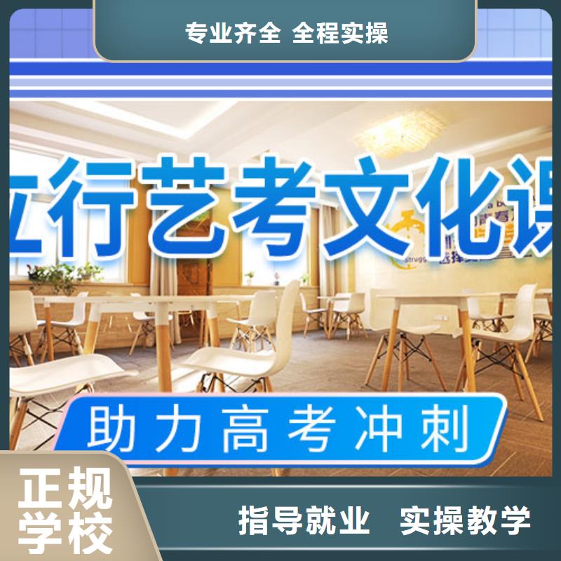 艺考文化课辅导艺考复读清北班手把手教学