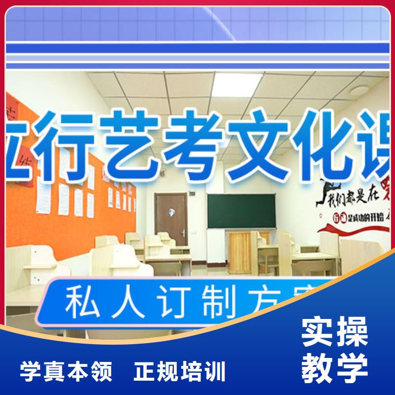 艺考文化课补习艺考辅导机构理论+实操