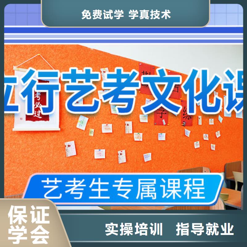 艺考生文化课培训机构哪里好