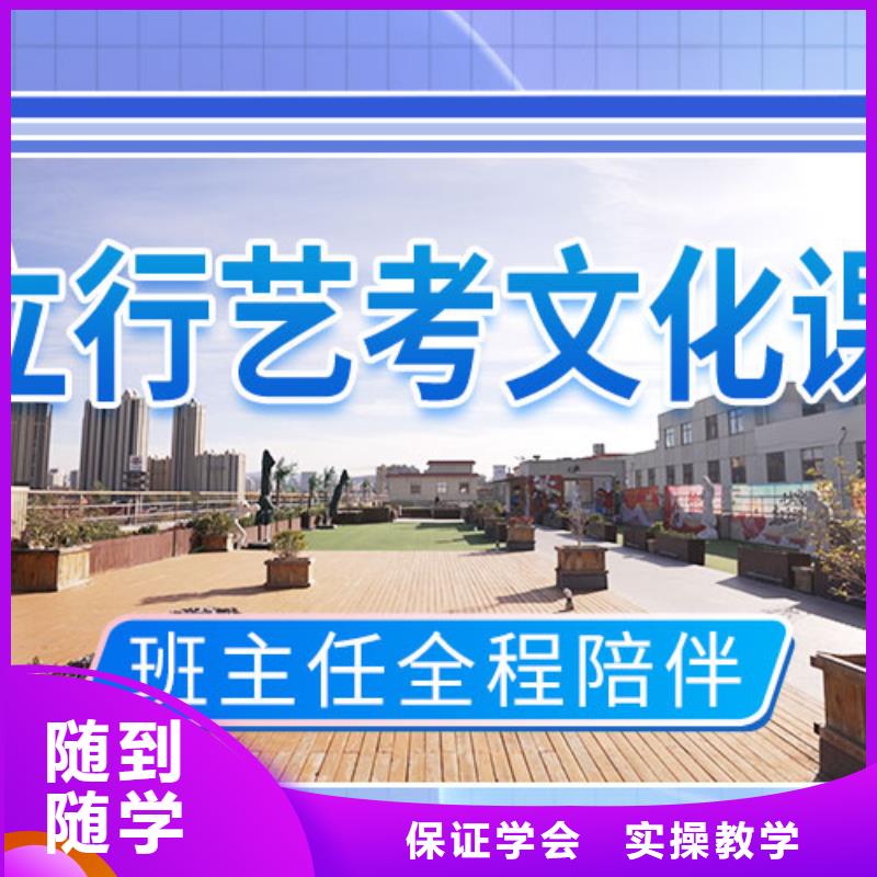 艺考文化课集训艺术生文化补习学真技术