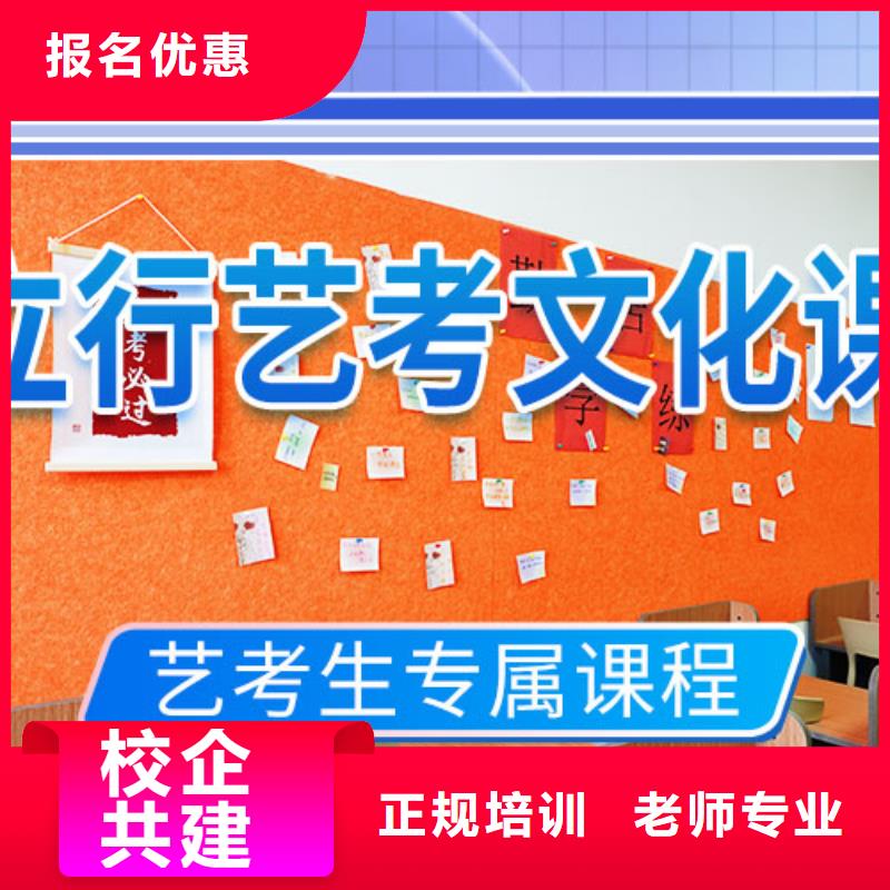 艺考文化课冲刺-【艺考培训学校】老师专业