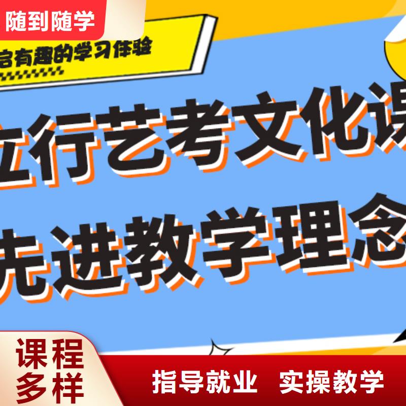 艺考生文化课集训冲刺有哪些定制专属课程